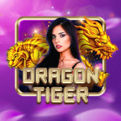 Dragon Tiger Playtime Gaming